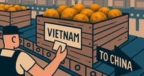 Không phải Thái Lan, Australia hay Peru - Một sản vật Việt giờ mới là "vua" tại Trung Quốc