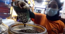 Quốc gia đông dân thứ 4 thế giới nuôi tham vọng vượt mặt Việt Nam ở một 'mỏ vàng' tỷ USD, sản lượng 700.000 tấn mỗi năm có đủ sức?