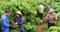 30 năm Nestlé Việt Nam qua lăng kính của những người đồng hành