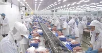 Việt Nam vừa thu 28 tỷ USD nông sản, khách nào 'sộp' nhất?