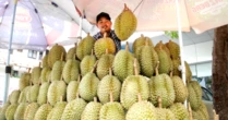 'Hàng xóm' của Việt Nam vừa chính thức gia nhập thị trường sầu riêng Trung Quốc: Quan chức gọi đây là 'thời khắc lịch sử', sản lượng ra sao so với các đối thủ?