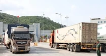 Hàng trăm container sầu riêng 'mắc kẹt' tại cửa khẩu Lạng Sơn