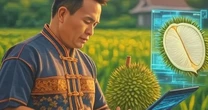 Đây là cách công nghệ cao vào cuộc, đưa Thái Lan thành 'ông hoàng sầu riêng': Nắm 60% thị phần tại Trung Quốc, dự báo bội thu đơn hàng năm 2025