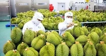 Trung Quốc ra quy định mới về nhập khẩu nông sản, doanh nghiệp Việt cần chú ý