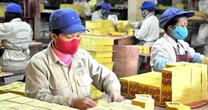 DN kinh doanh vàng mã duy nhất trên sàn báo lãi quý 3 tăng 370%