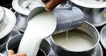 Đột kích một cơ sở lúc 4 giờ sáng, công an triệt phá đường dây sản xuất sữa giả từ nước bẩn, tịch thu loạt túi nhựa, công cụ pha trộn công nghiệp