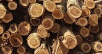 Mỹ vừa đổ gần 2 tỷ USD săn 'báu vật' của Việt Nam: thuế nhập khẩu 0%, Việt Nam là đối tác lớn nhất của Mỹ ở mặt hàng này