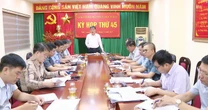 Cán bộ diện Ban Thường vụ Tỉnh ủy Bắc Giang quản lý kê khai không đúng tài sản