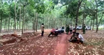 Bàng hoàng phát hiện thi thể nam giới treo lơ lửng trên cây cao su