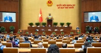 Đề xuất phạm nhân được hiến mô, bộ phận cơ thể, lưu trữ trứng, tinh trùng