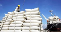 Philippines tạm dừng nhập khẩu gạo, Bộ Công Thương khuyến cáo doanh nghiệp