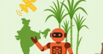 Khi loại nông sản tỷ đô của Ấn Độ gặp khó: AI, dữ liệu vệ tinh, cảm biến đất, máy bay không người lái lập tức vào cuộc