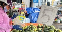 Trái cây 'đại hạ giá', có loại chỉ 5.000 đồng/kg ở TPHCM