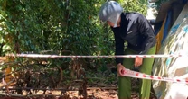 Xuất hiện 'hố tử thần' chưa xác định độ sâu trong vườn nhà dân ở Quảng Trị