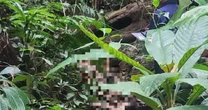 Tìm thấy thi thể cụ bà 70 tuổi mất tích tại đèo Phượng Hoàng