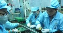 Tập đoàn Xây dựng Hoà Bình, YEAH1 nợ bảo hiểm xã hội như 'chúa chổm'