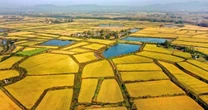 Luật Đất đai 2024 có nhiều điểm mới đất nông nghiệp sẽ có giá trị, thị trường phát triển sôi động