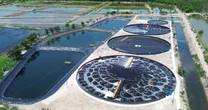 Việt Nam dẫn đầu toàn cầu về một chỉ tiêu quan trọng, là gì vậy?