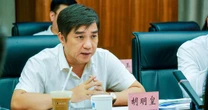 Nhiều doanh nghiệp Trung Quốc sang đề xuất hợp tác tham gia các dự án hạ tầng lớn của Việt Nam, nhưng Đèo Cả có một điều kiện đặc biệt