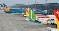 Cục Hàng không đang điều tra một sự cố uy hiếp an toàn cao