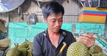‘Vua' của các loại sầu riêng bị chê, rớt giá thảm