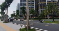 Một phụ nữ nước ngoài không mặc quần áo tử vong dưới chung cư ở TP HCM