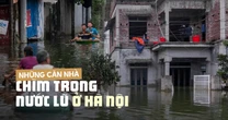 Toàn cảnh cuộc sống người dân ngoại thành Hà Nội bên trong những ngôi nhà nằm giữa "rốn lũ" Chương Mỹ