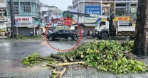 Mưa lớn ở TP.HCM làm cây đổ đè ô tô, 6 người may mắn thoát chết