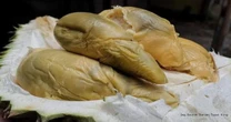 Giới "sành ăn" săn lùng giống quả mới: Mùi thơm quyến rũ, hương vị đặc biệt không thể lẫn vào đâu được