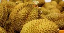 Không phải Thái Lan, một loại sầu riêng của láng giềng Việt Nam đang được săn đón: Được đại sứ Trung Quốc khen ngợi ‘ngon nhất thế giới’