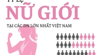 'Đế chế' của ông Phạm Nhật Vượng chỉ có 37,3% nhân sự nữ nhưng các nữ tướng chiếm 59%, ngân hàng là 'thánh địa' của giới nữ ngoại trừ Sacombank