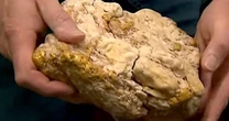 Dùng máy dò kim loại bất ngờ đụng trúng tảng đá chứa 2,6 kg vàng