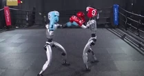 Video robot Trung Quốc tung đòn chuẩn bị cho trận boxing chưa từng có