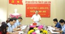Kỷ luật Trưởng phòng Tài nguyên và Môi trường, đề nghị kỷ luật Bí thư Đảng ủy, Chủ tịch xã