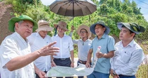 Vừa được duyệt dự án hơn 3.000 tỷ, Shark Lê Hùng Anh bất ngờ có động thái mới tại nơi cách TP Đà Nẵng 80 km