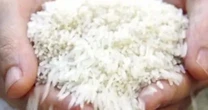 Giá gạo xuất khẩu của Thái Lan giảm xuống mức thấp nhất trong gần 9 năm