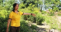 Vụ chuyển 300m2 đất vườn sang đất ở phải nộp thuế gần 4,5 tỷ đồng, Sở NN&MT tỉnh Nghệ An nói gì?