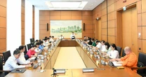 Đại biểu Quốc hội kiến nghị bỏ mô hình Đại học vùng, tinh gọn bộ máy, xoá cấp trung gian