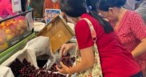 Giá cherry Mỹ bán tại TP HCM giảm chưa từng thấy