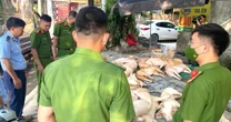 Kinh hãi gần 800 kg thịt lợn bốc mùi suýt bị tuồn ra thị trường
