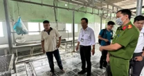 Vụ C.P. Việt Nam bị “tố” bán thịt heo bệnh: Hé lộ sự thật tại cơ sở giết mổ ở Hậu Giang