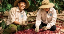 Một nông sản tỷ USD của Việt Nam được người dân nước láng giềng dùng hàng ngày, giá tăng vọt vẫn đặt mua hơn 8.000 tấn
