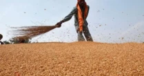 Vừa ngừng nhập khẩu từ Mỹ, một ngành hàng của Trung Quốc gặp sóng gió: ‘Cứu tinh’ chậm trễ giao hàng, nhập khẩu giảm xuống thấp nhất trong một thập kỷ