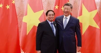 Tin vui cho hàng triệu người Việt Nam: “MIT của Trung Quốc” có thể hỗ trợ 1 ngành mang lại 130 tỷ USD