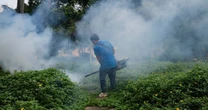 Virus Chikungunya lây lan ở Quảng Đông, loạt biện pháp phòng chống Covid-19 được kích hoạt