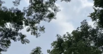 Hình ảnh hiếm có: Trực thăng Mi cùng tiêm kích Su-30MK2 cùng xuất hiện trên bầu trời quảng trường Ba Đình