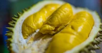 Không phải Thái Lan hay Việt Nam, trái cây vua của một quốc gia đang lên như diều gặp gió: Sắp xuất khẩu hàng tươi sang Trung Quốc, châu Âu cũng đang mạnh tay săn lùng