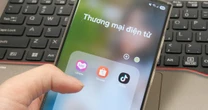 Bất ngờ với mức chi tiêu tỷ USD cho mua sắm online của người Việt