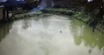 Câu cá gần đường điện cao thế, một người đàn ông bị điện giật tử vong