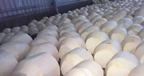 Vượt Trung Quốc, Mỹ chi hơn 2.100 tỷ để nhập một “sản vật” của Việt Nam, hơn 40 quốc gia cũng đặt hàng